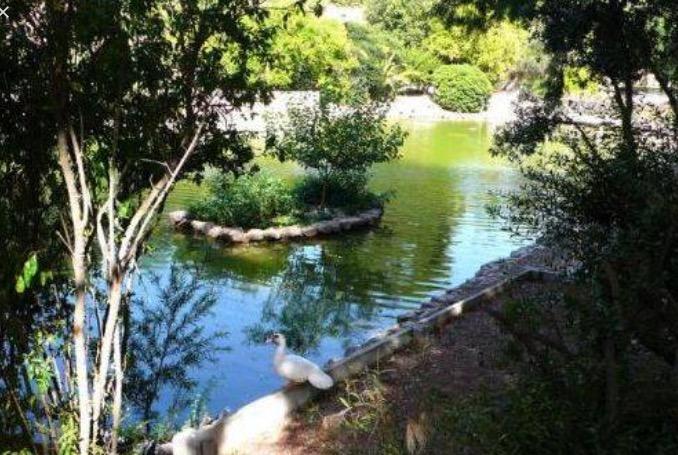 Bed and Breakfast Bellini Cagliari Exterior foto